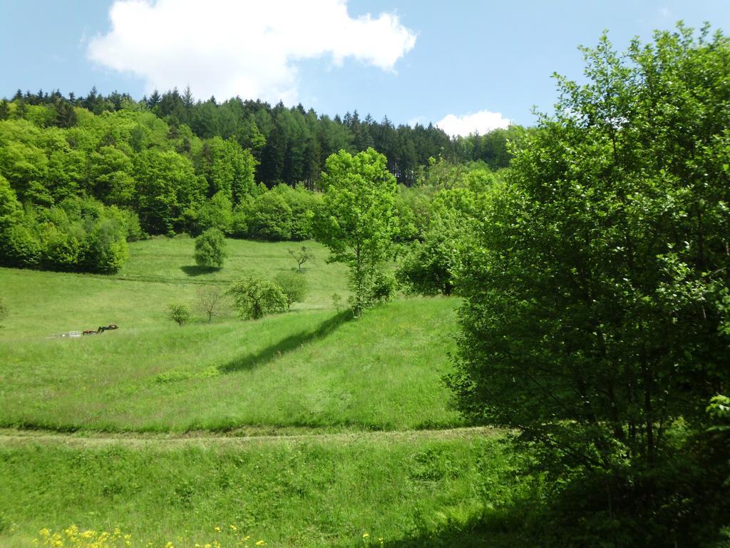 Finken, Gaestezimmer An Der Rench Oppenau Exterior foto