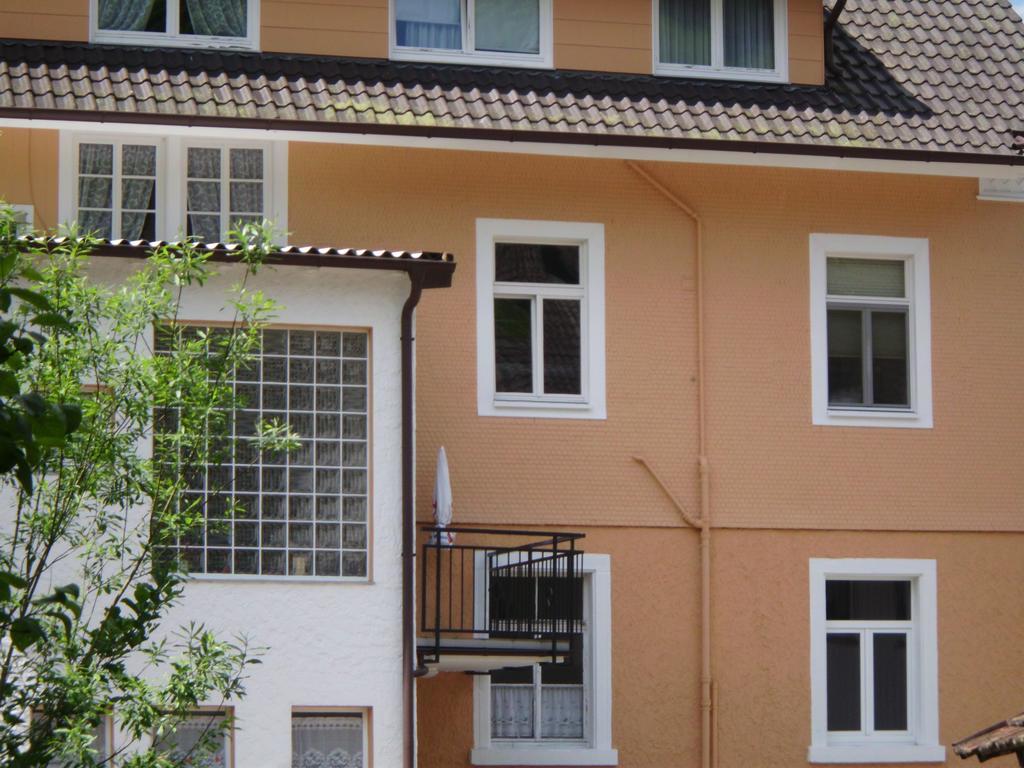 Finken, Gaestezimmer An Der Rench Oppenau Exterior foto
